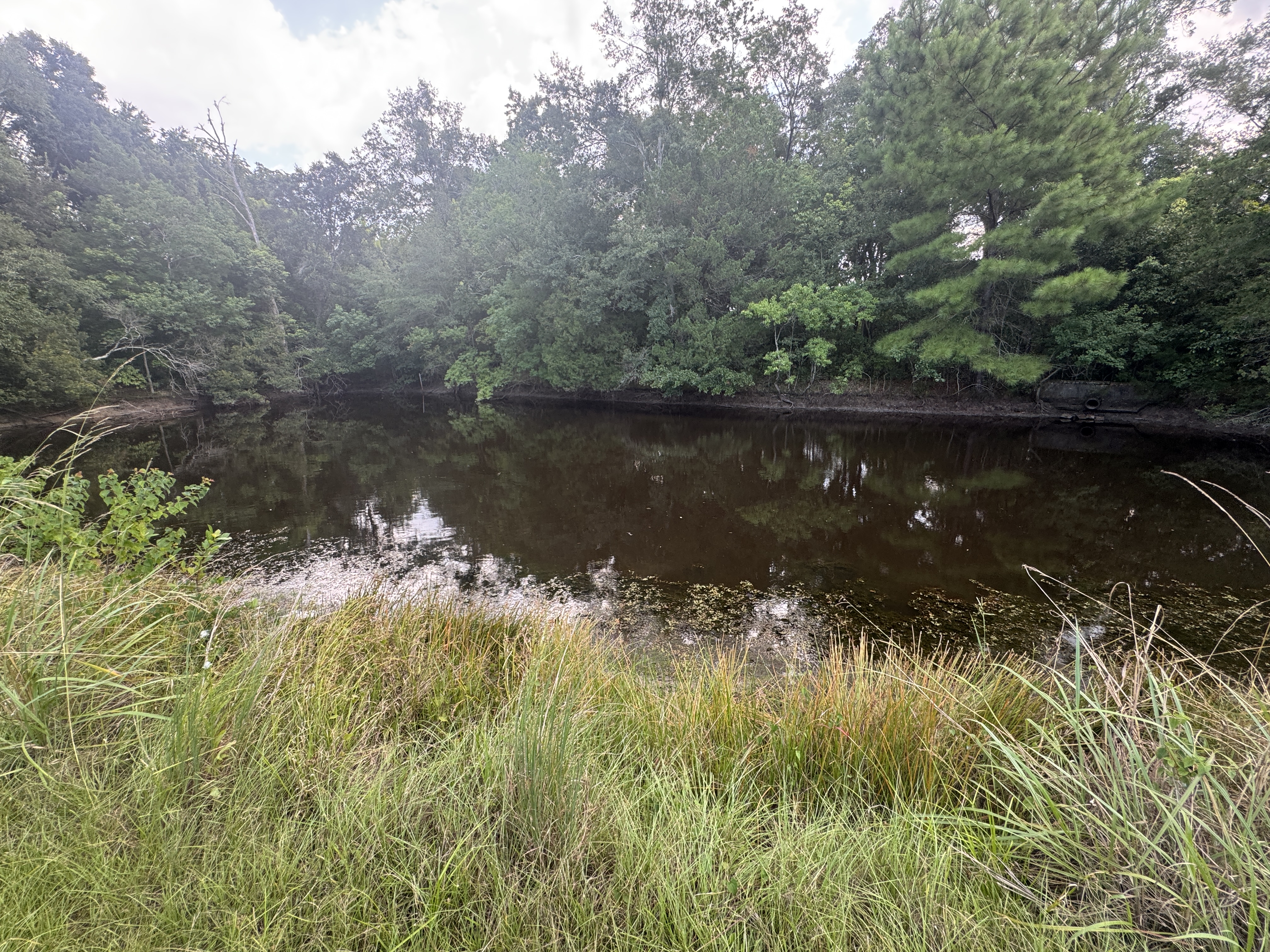 ROUBIK TRUST FAIRHOPE ESTATE AUCTION photo 7