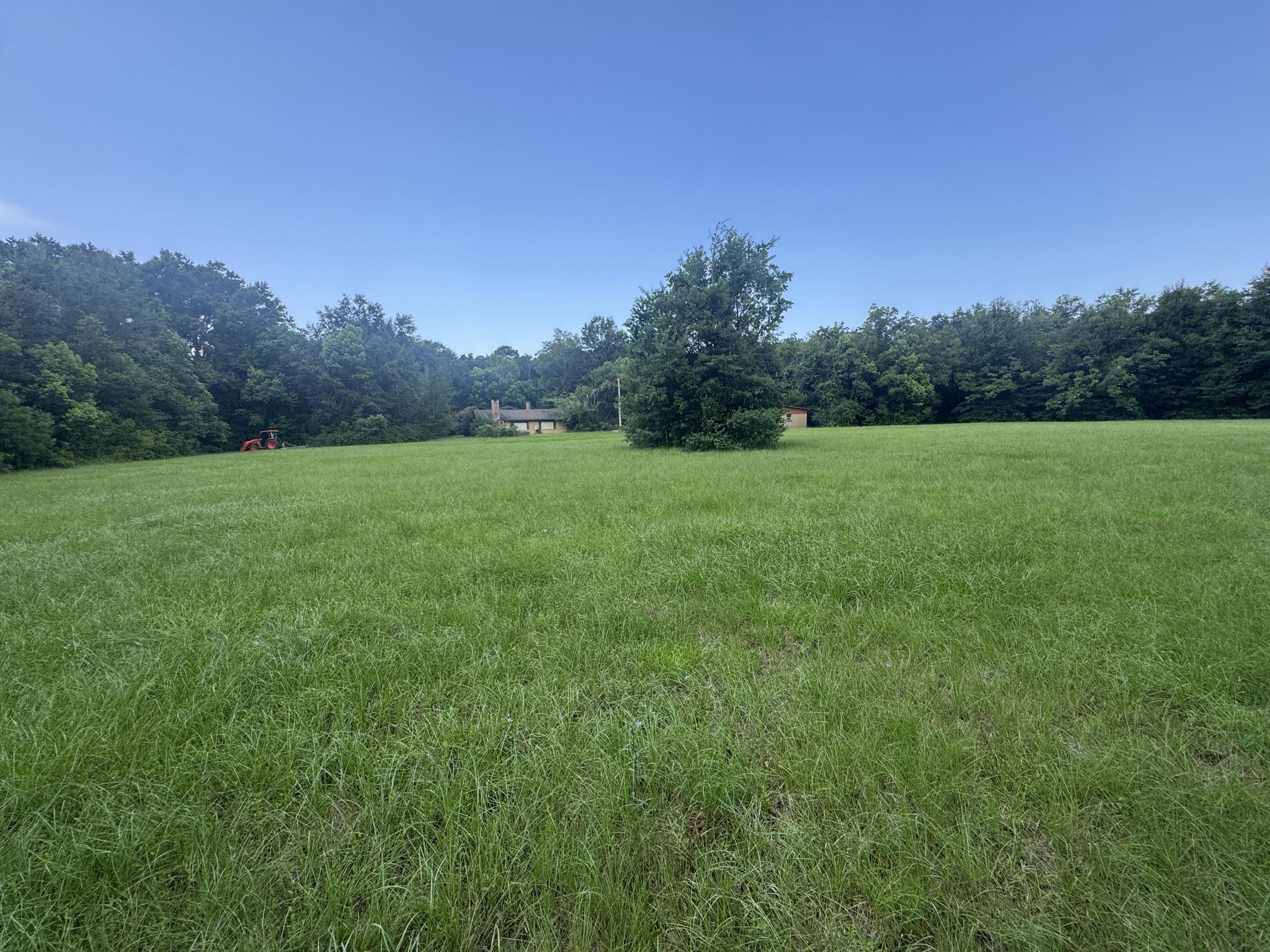 ROUBIK TRUST FAIRHOPE ESTATE AUCTION photo 9