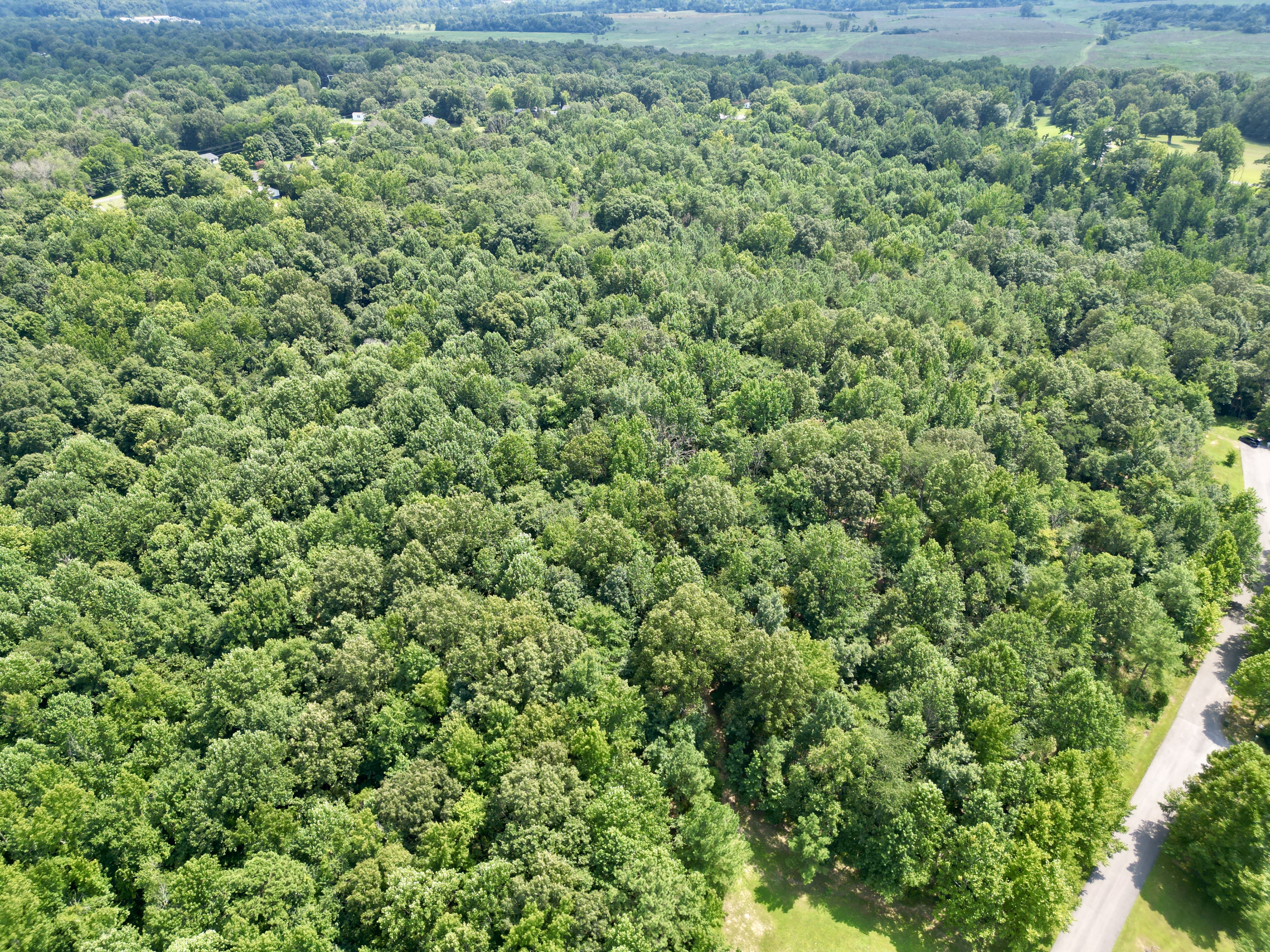 Development / Investment Opportunity・28 +/- Acres・Cherrywood Drive・Central City photo 2