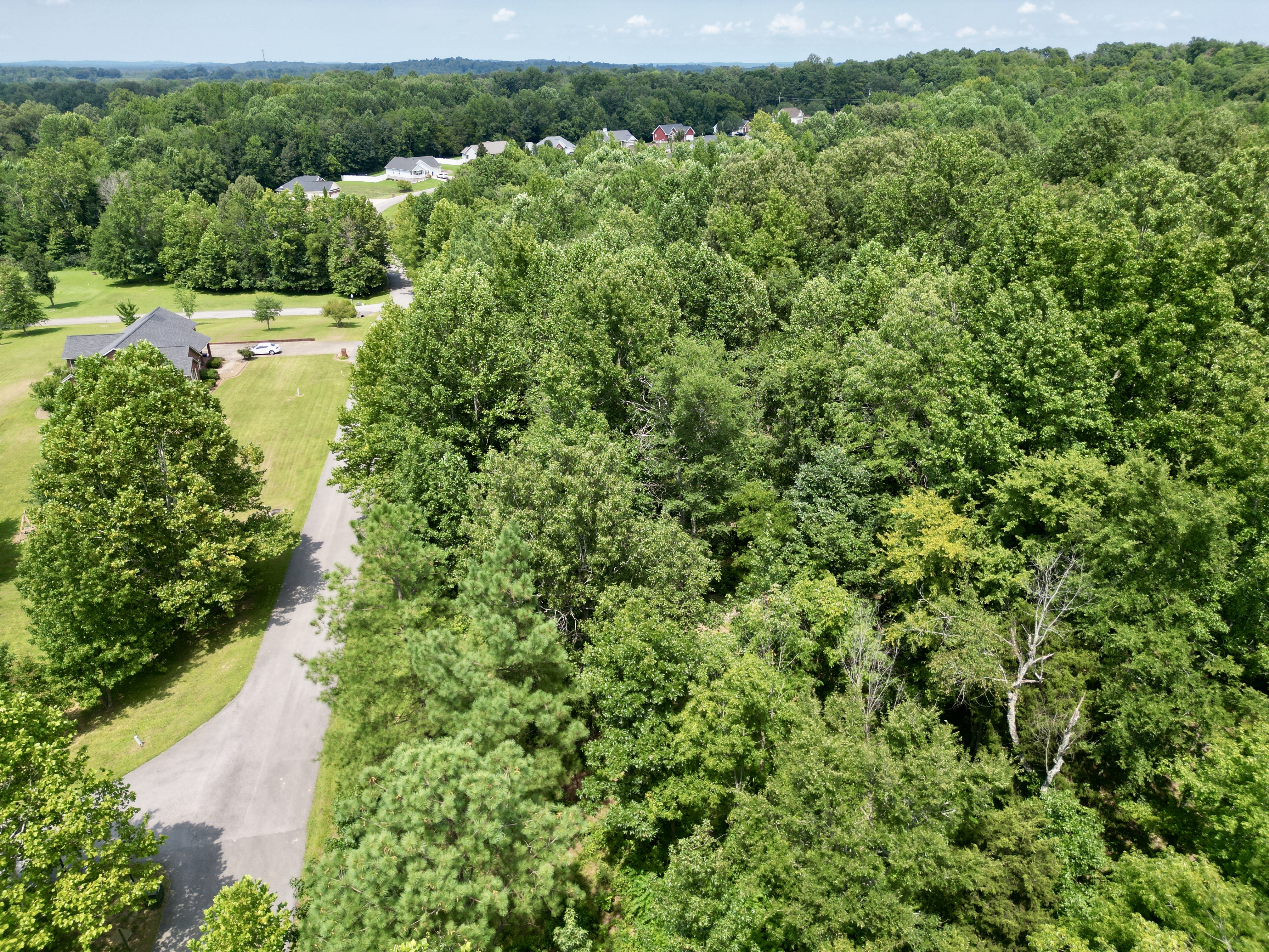 Development / Investment Opportunity・28 +/- Acres・Cherrywood Drive・Central City photo 3