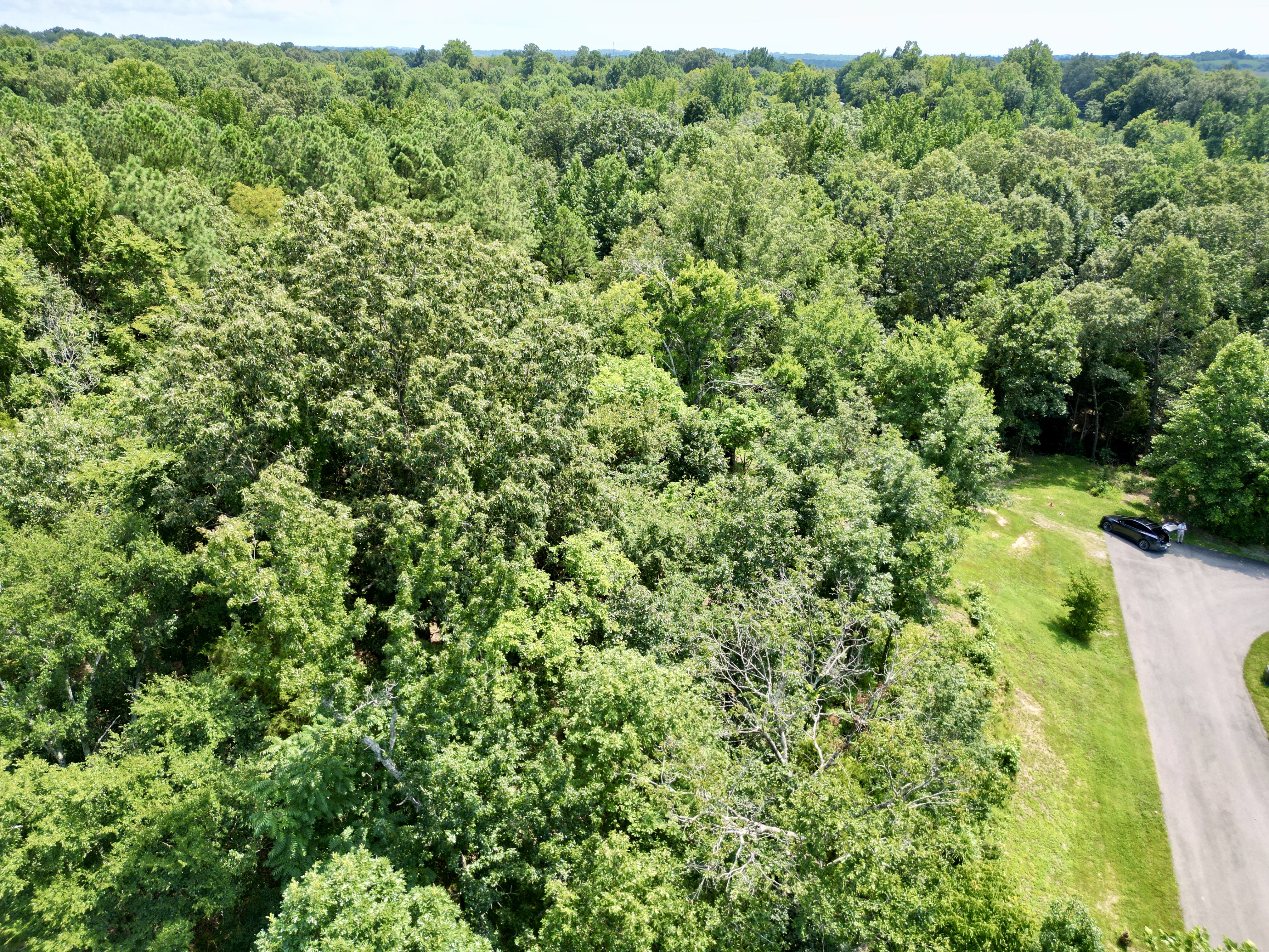 Development / Investment Opportunity・28 +/- Acres・Cherrywood Drive・Central City photo 4
