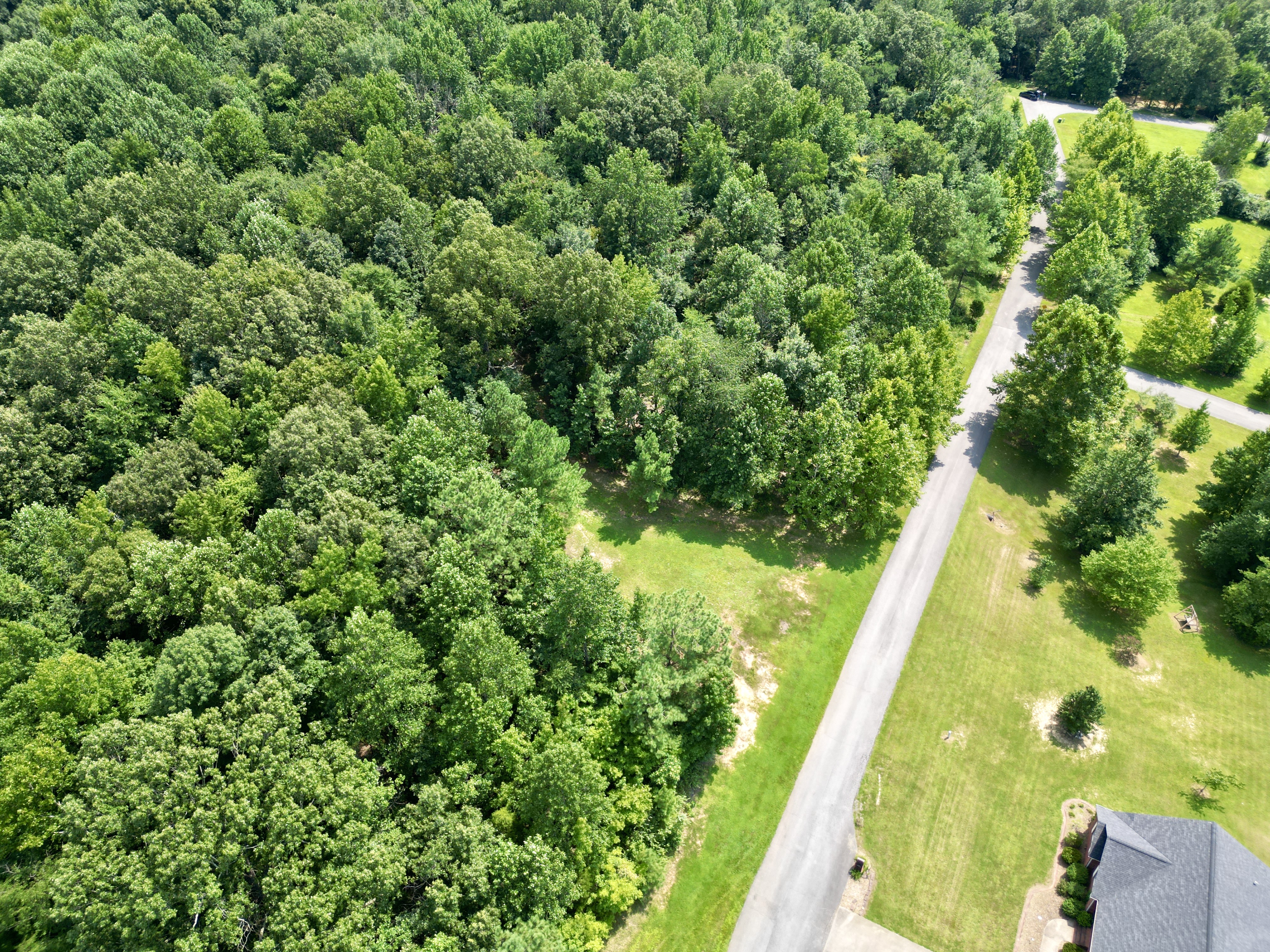 Development / Investment Opportunity・28 +/- Acres・Cherrywood Drive・Central City photo 7