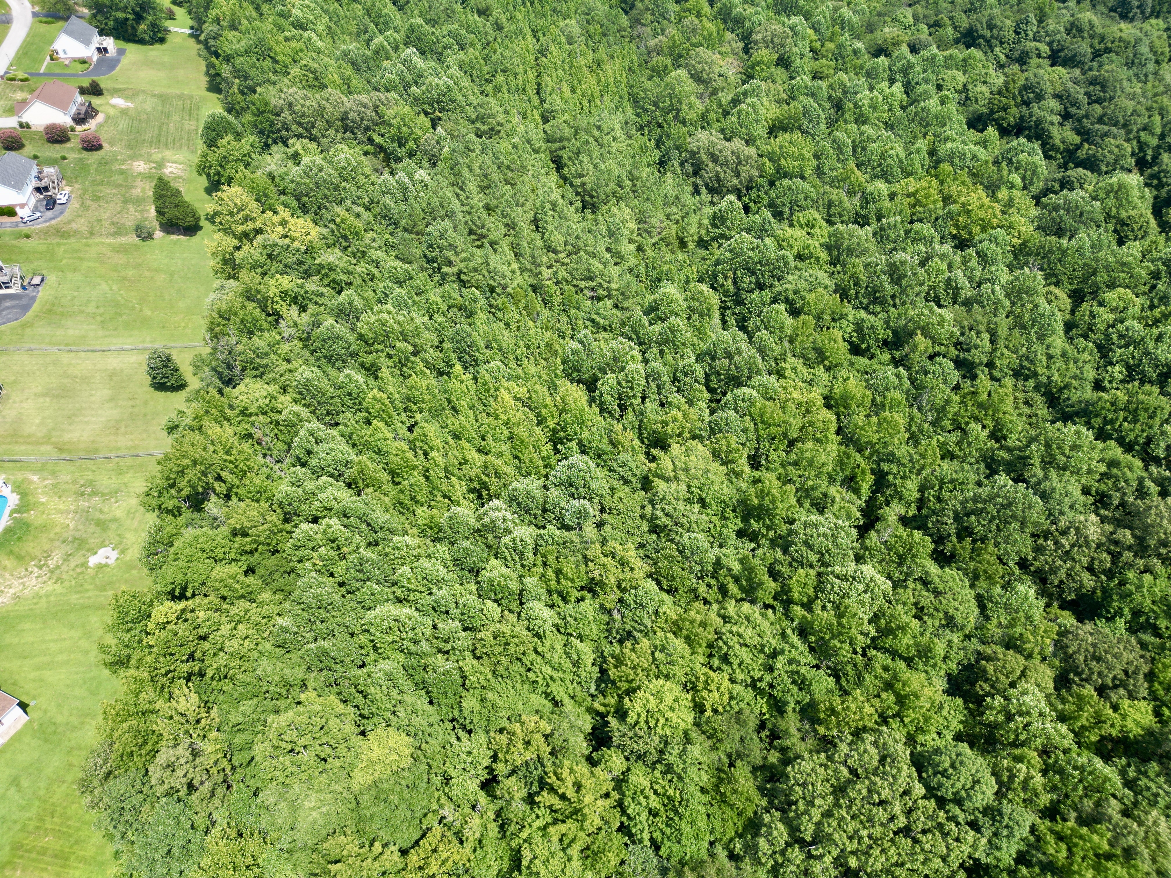 Development / Investment Opportunity・28 +/- Acres・Cherrywood Drive・Central City photo 8