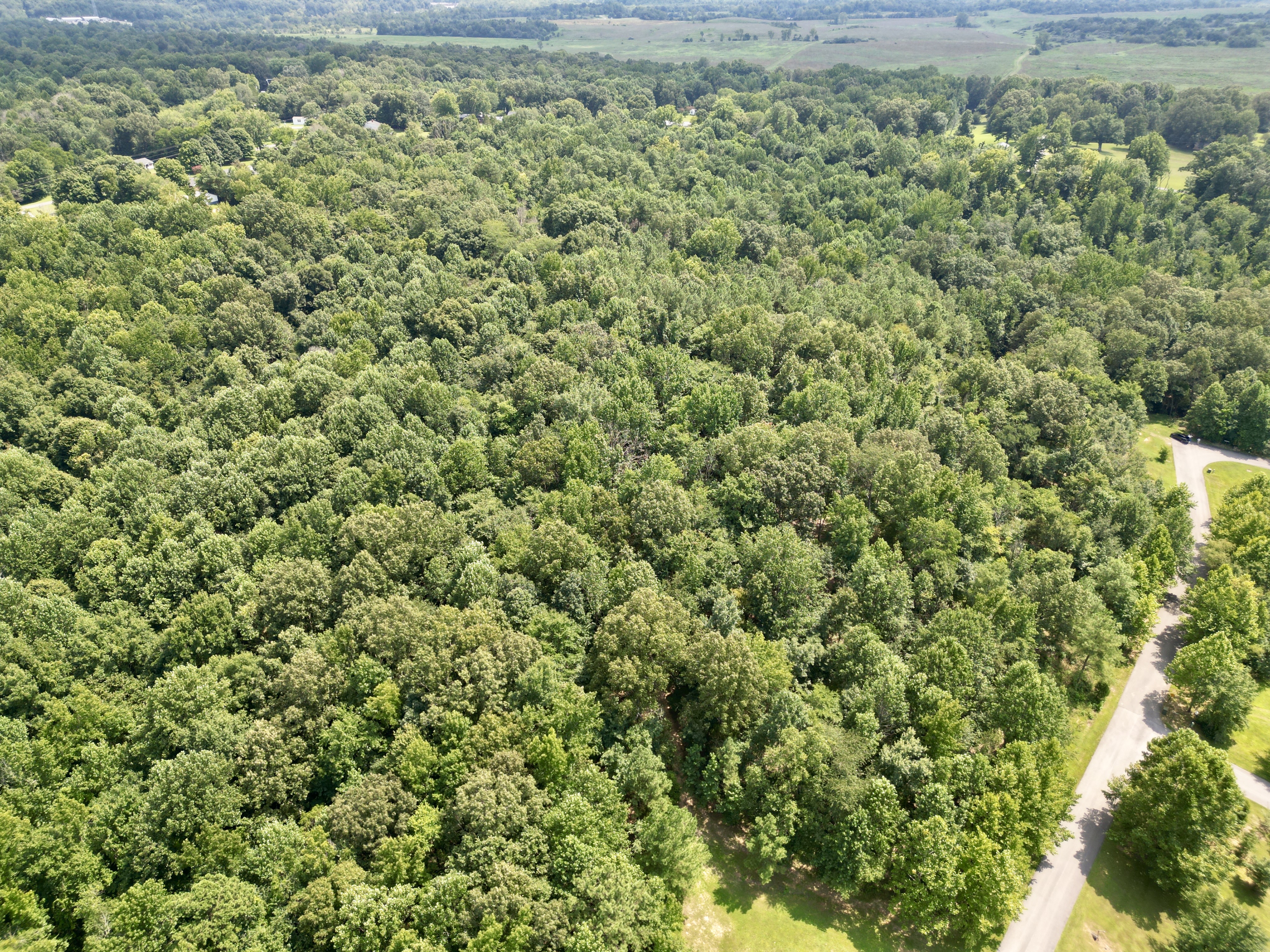 Development / Investment Opportunity・28 +/- Acres・Cherrywood Drive・Central City photo 9