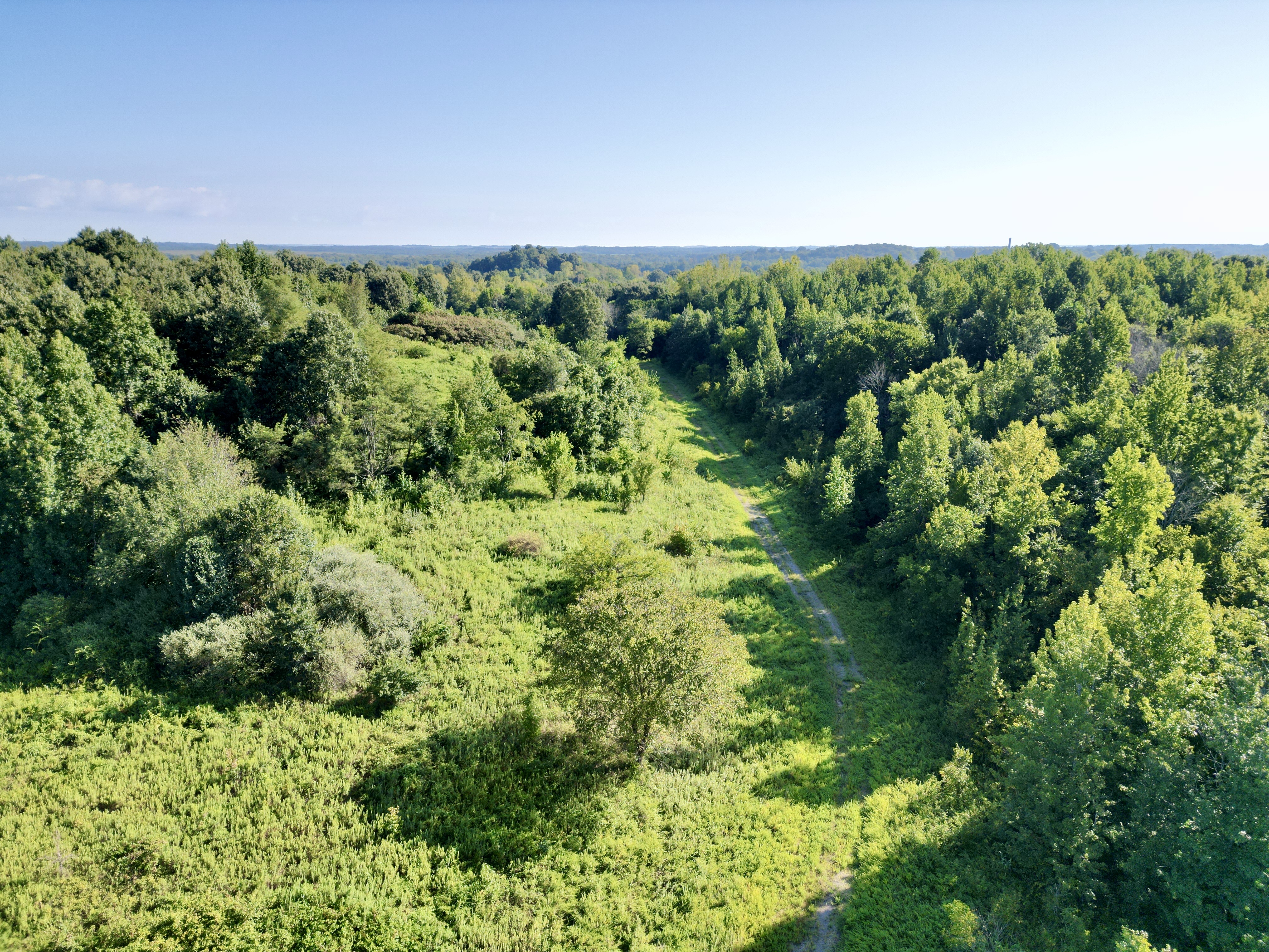 Hunting & Fishing Paradise! 351 +/- Acres Between Rockport & Central City photo 3