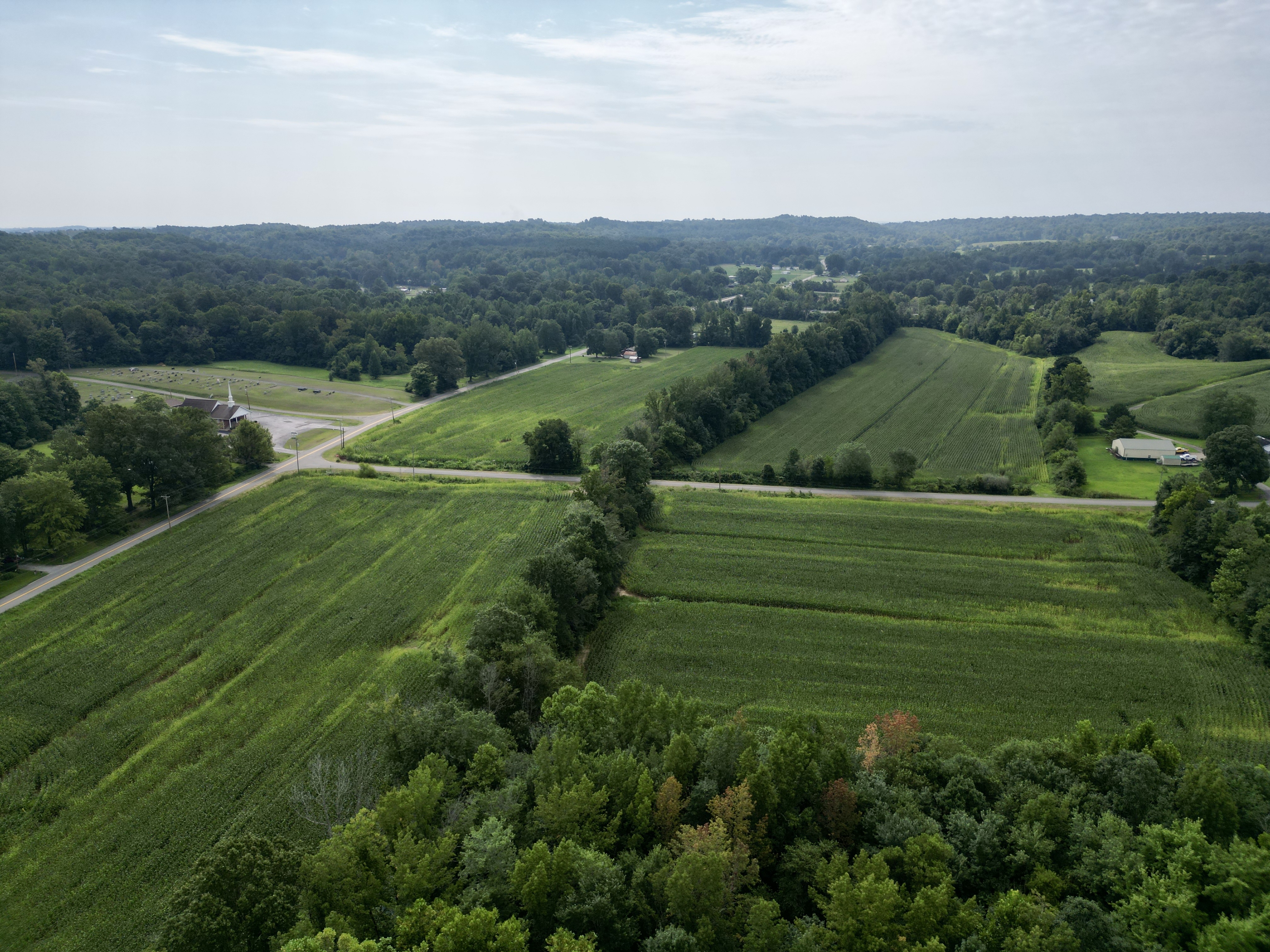 Excellent Hunting, Fishing, Cropland & Home Place・53 +/- Acres on Graham Cypress Road and State Route 601 photo 3