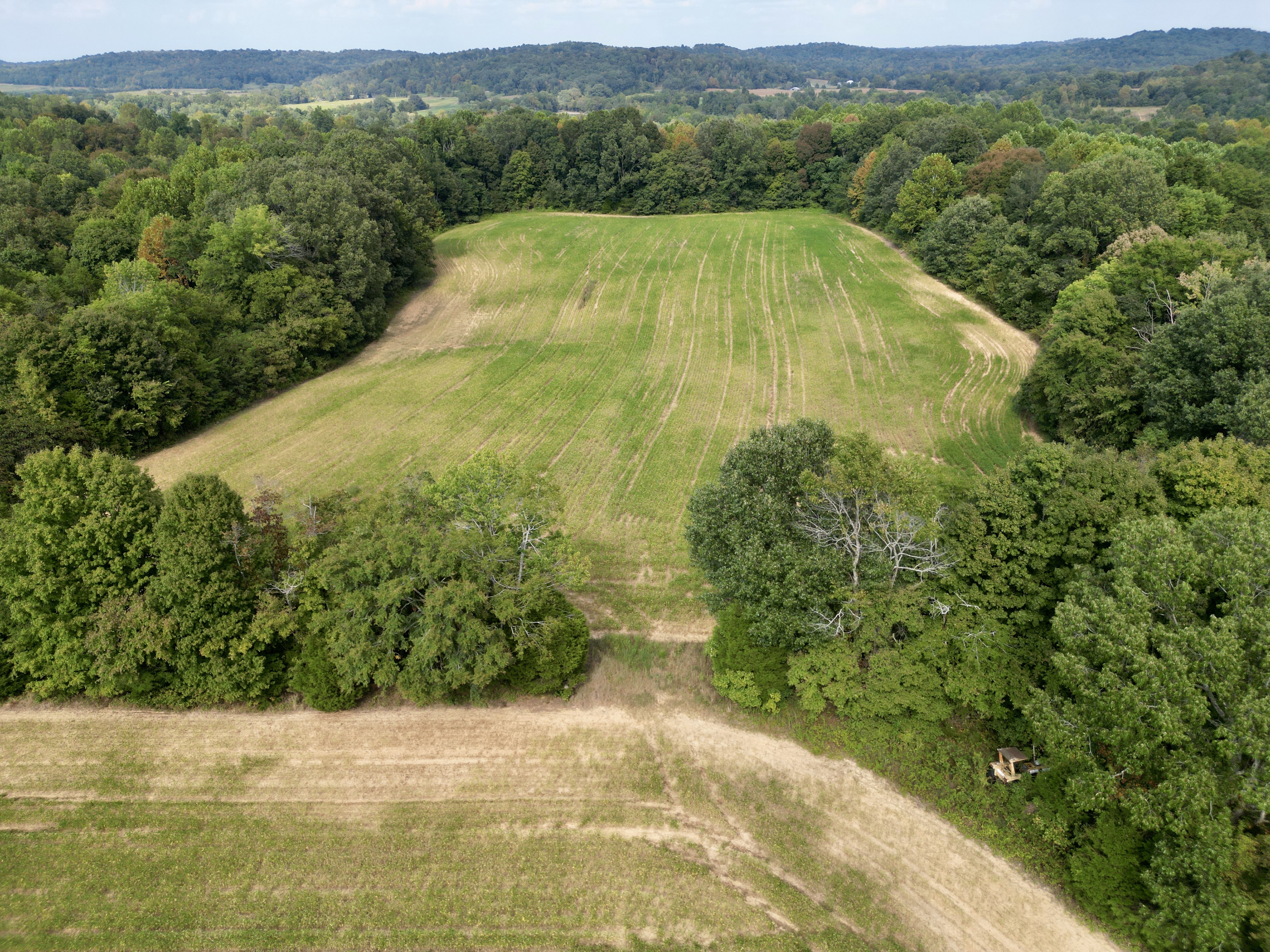 109 +/- Acres of Prime Hunting Land in Dunmor, KY photo 4