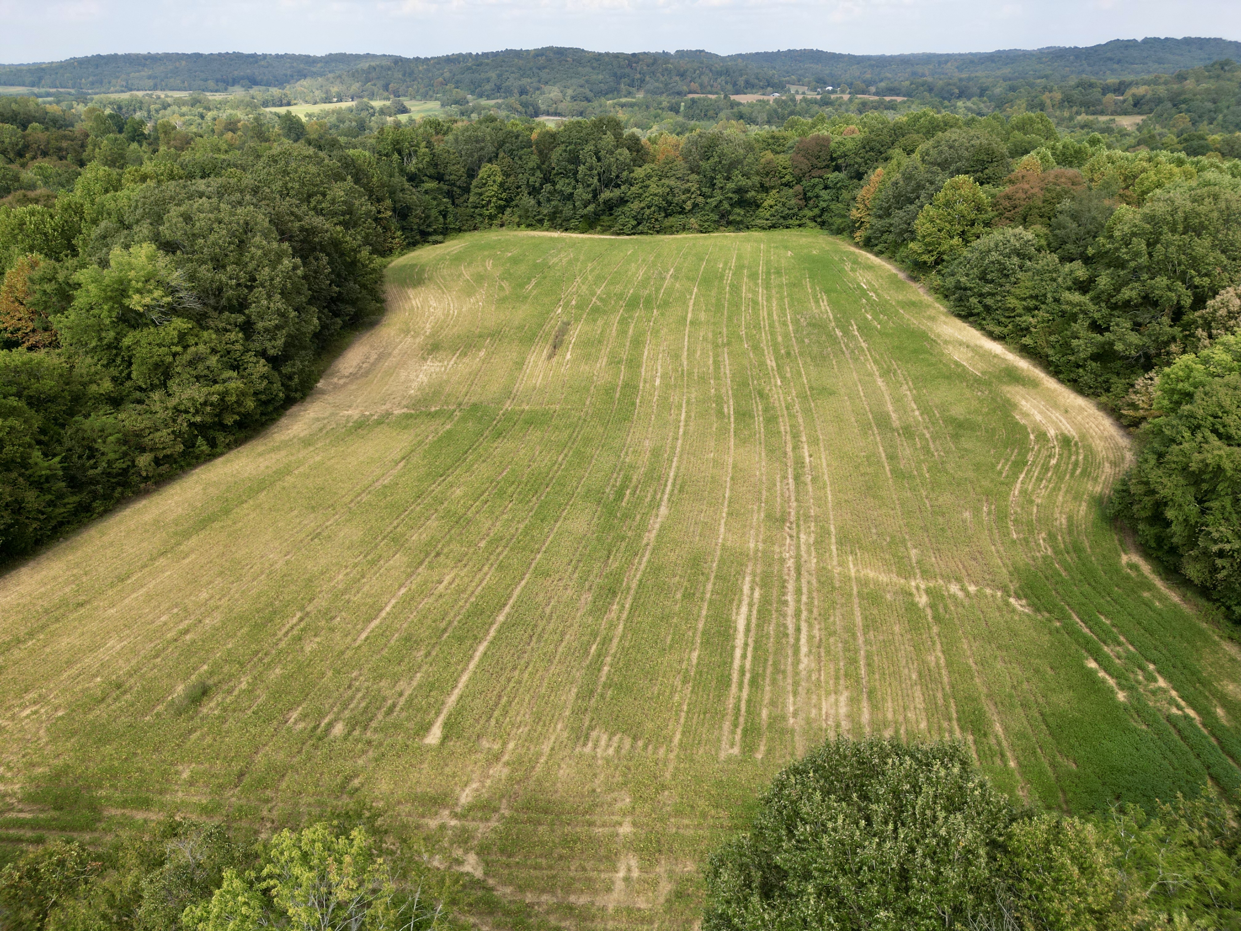109 +/- Acres of Prime Hunting Land in Dunmor, KY photo 5