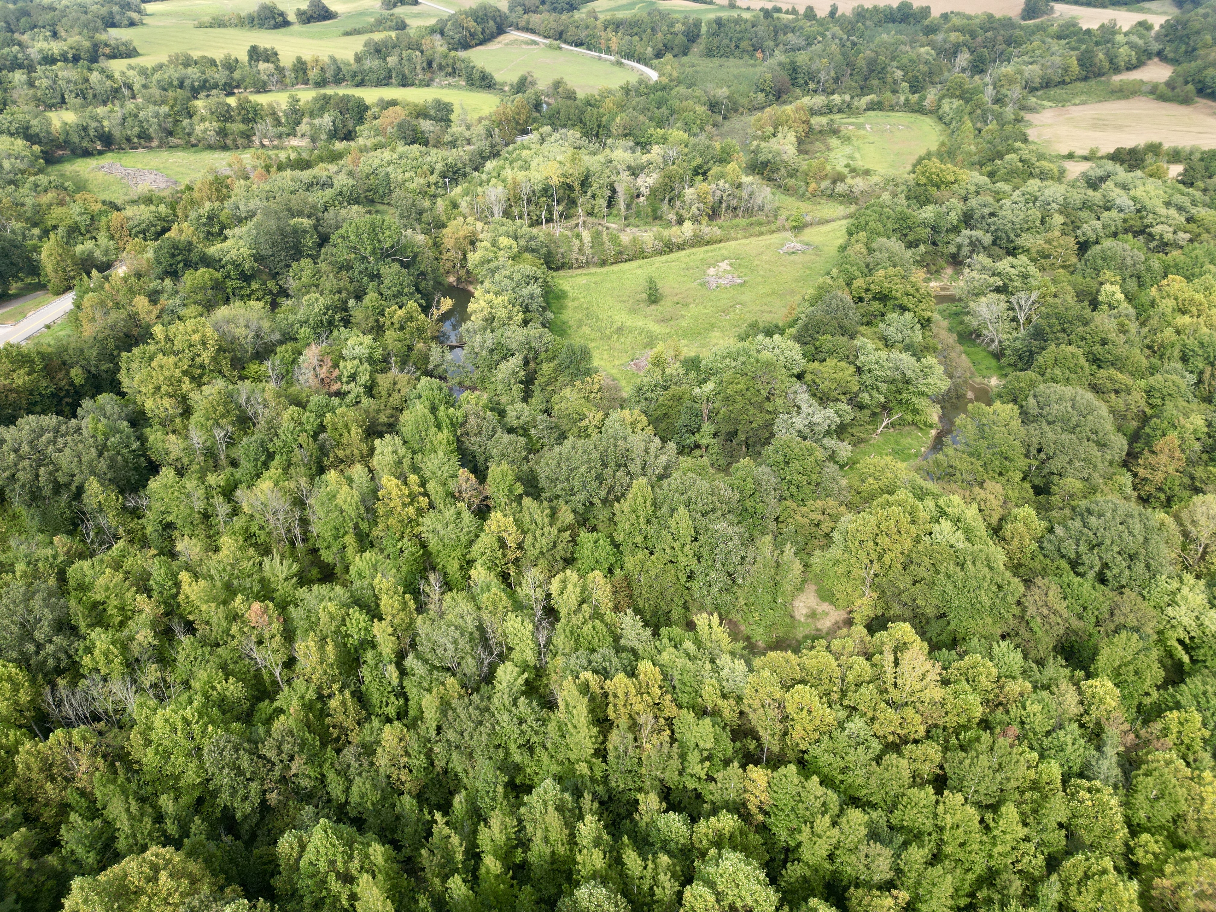109 +/- Acres of Prime Hunting Land in Dunmor, KY photo 9